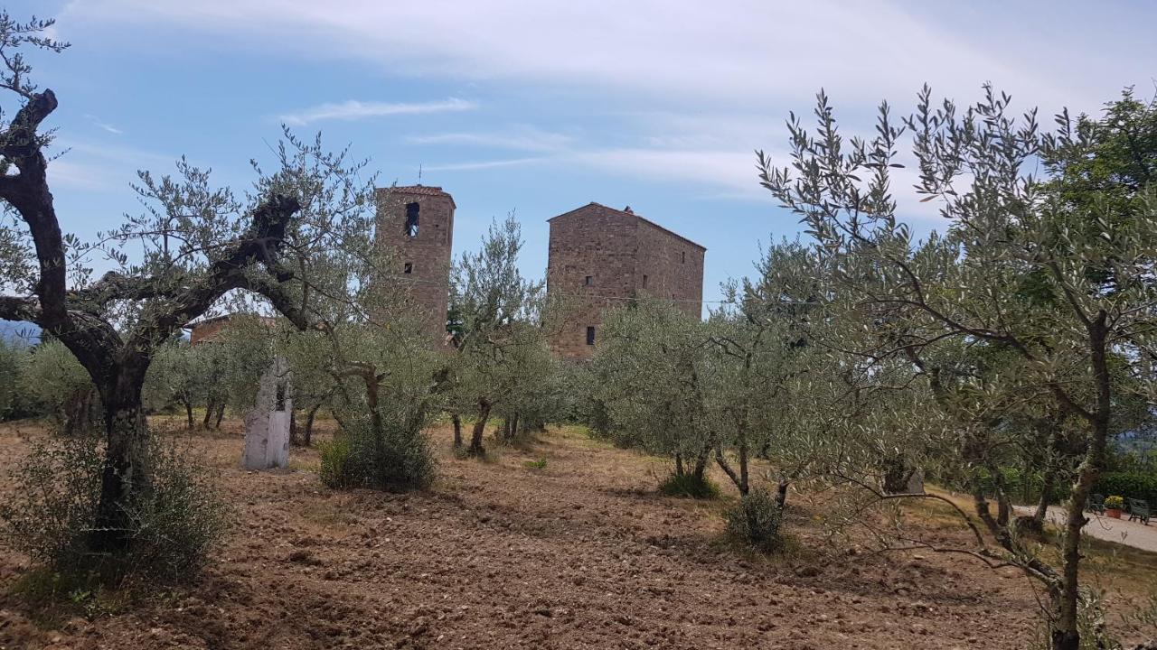 Apartment Casa Bruna - Cipresseta Del Chianti *