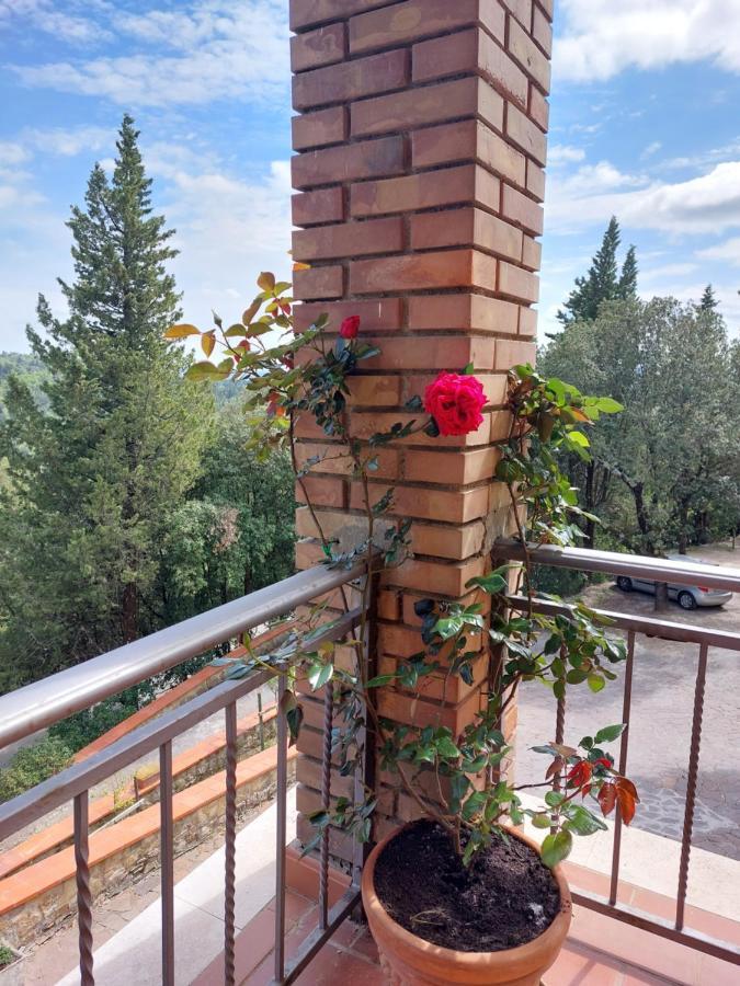 Casa Bruna - Cipresseta Del Chianti Apartment *